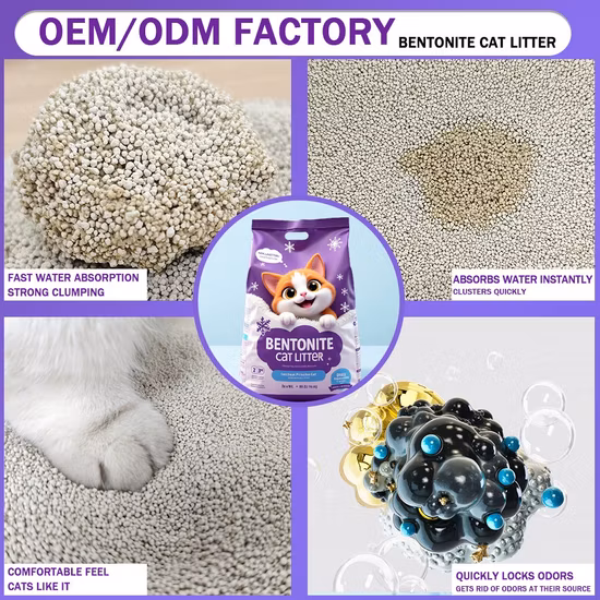 Eco-Friendly Biodegradable Takeaway Disposable Plastic Meal Prep Food Container with Lids