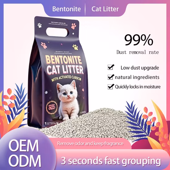 Eco-Friendly Biodegradable Takeaway Disposable Plastic Meal Prep Food Container with Lids